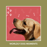 Puppy Relaxation - Worldly Dog Moments