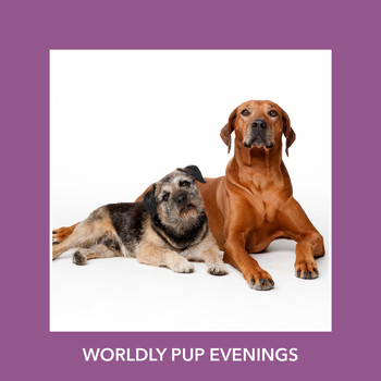 Relaxing Dog Music - Worldly Pup Evenings