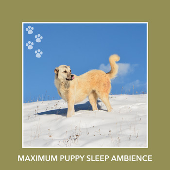 Relaxing Dog Music - Maximum Puppy Sleep Ambience