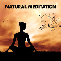The White Noise Zen & Meditation Sound Lab - Natural Meditation – Spirit of Natural Relaxation