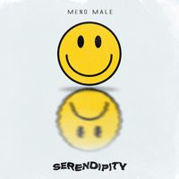 Serendipity - Meno male