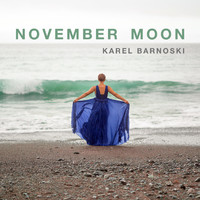 Karel Barnoski - November Moon