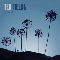 Ten Fields - Butterfly