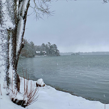 Cathy Swan - January 1