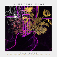 João Mayer - A Última Flor (feat. Clara Carolo & Vinicius Leão)