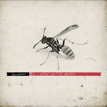 deccatree - Wasp in the Grass