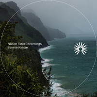 Nature Field Recordings - Serene Nature