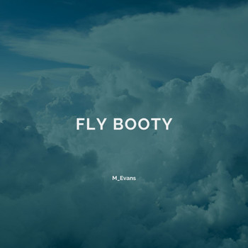 M_Evans - Fly Booty