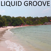Liquid Groove - Liquid Groove
