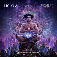 DJ Synergia - Ikigai