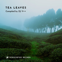 DJ V++ - Tea Leaves