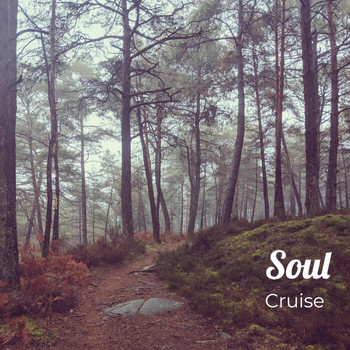 Cruise featuring G Will Producer - Soul