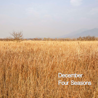 Four Seasons - December