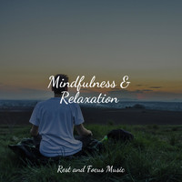 Sounds of Nature White Noise for Mindfulness Meditation and Relaxation, Spa Relaxation, Relaxation Music Guru - Mindfulness & Relaxation
