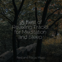 Sleep Songs 101, White Noise For Baby Sleep, Especialistas de Musica para Dormir - 35 Best of Relaxing Tracks for Meditation and Sleep