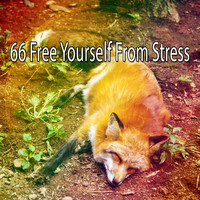 White Noise Babies - 66 Free Yourself From Stress
