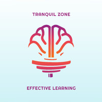 Reading and Studying Music - Tranquil Zone for Effective Learning  - New Age Ambient Music for Better Focus