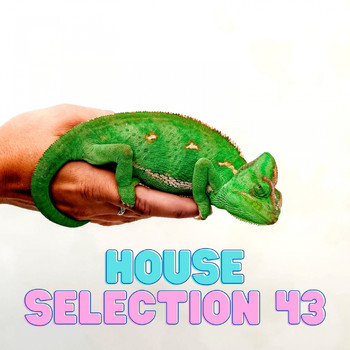 Various Artists - House Selection 43