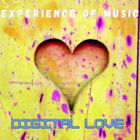 Experience Of Music - Digital Love