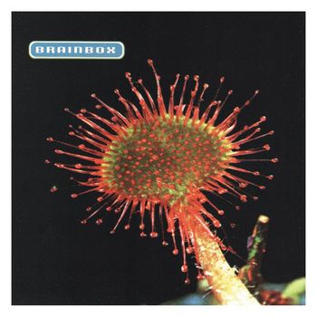 Brainbox - Primordia