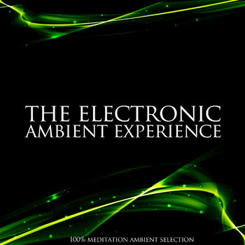 Various Artists - The Electronic Ambient Experience (100% Meditation Ambient Selection)