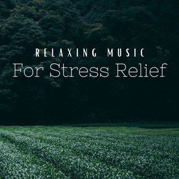 Various Artists - Relaxing Music For Stress Relief