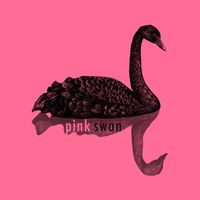 Pink Swan - Narrow and Wide