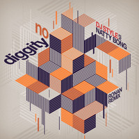 Dj Style - No Diggity (Ronan Remix)