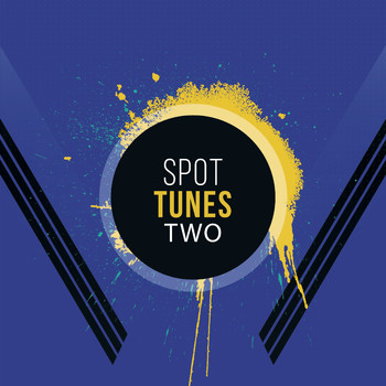 Various Artists - Spot Tunes Two