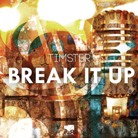 Timster - Break It Up
