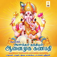 Rahul - Aanandham Thanthidum Aanaimugan Ganapathi