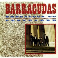 Barracudas - Endeavour To Persevere
