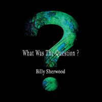 Billy Sherwood - What Was the Question?