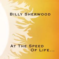 Billy Sherwood - At the Speed of Life