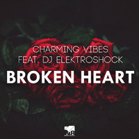 Charming Vibes - Broken Heart