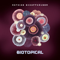 Mathias Schaffhäuser - Biotopical