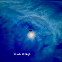 Prin - The Calm Principles