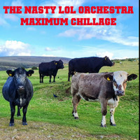 The Nasty Lol Orchestra - Maximum Chillage