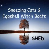 Shed - Sneezing Cats and Eggshell Witch Boats