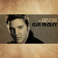 Elvis Presley - A Mess Of A Blues