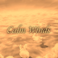 Neonsky - Calm Winds