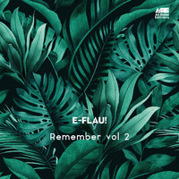 e-Flau! - Remember, Vol. 2