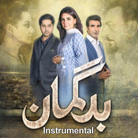 Sahir Ali Bagga - Bad Guman (Instrumental)