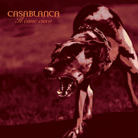 Casablanca - Il Cane Cieco