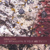 Roman Leykam - The Interweaving of Mood and Tension