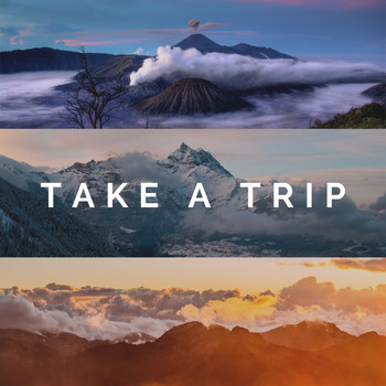 Various Artists - Take A Trip