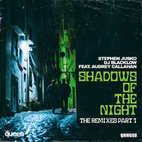 Stephen Jusko & DJ Blacklow feat. Audrey Callahan - Shadows of the Night (The Remixes, Pt. 1)