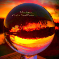 Charles David Denler - Before It's Gone