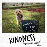 The Sound Lizards - Kindness