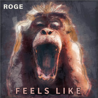 Roge - Feels Like